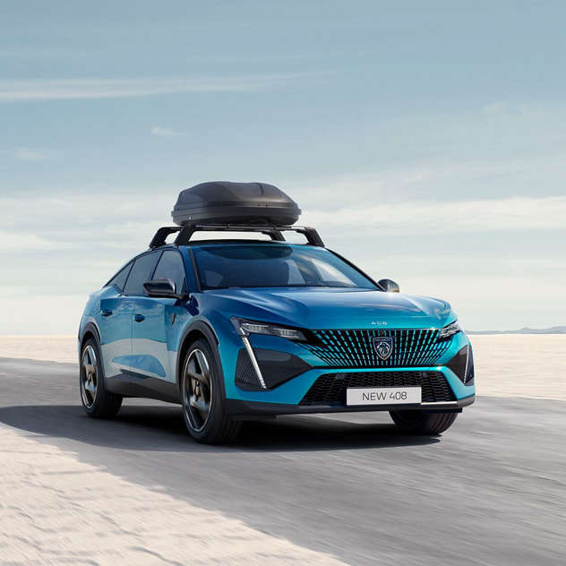 Багажний бокс