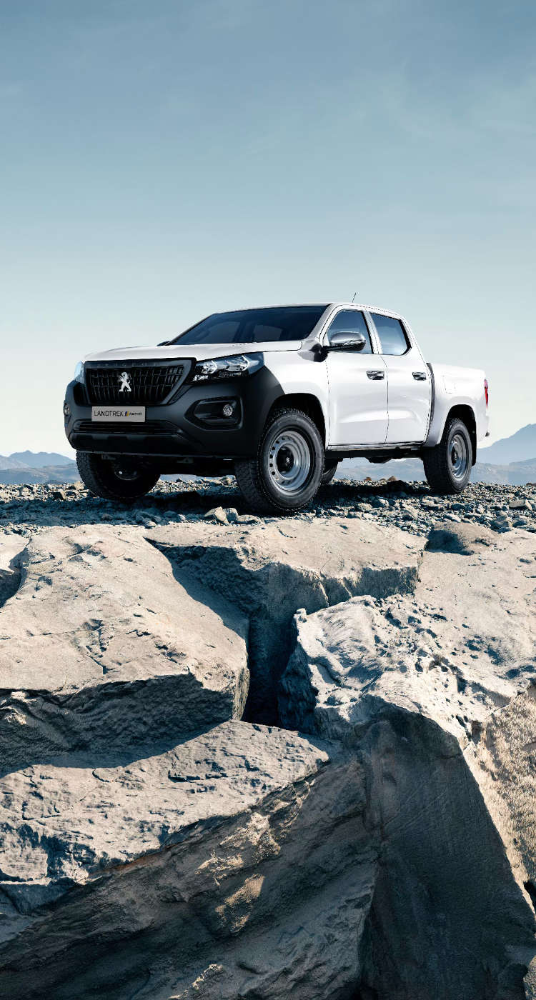 Peugeot Landtrek «Лютий», зовнішній вигляд